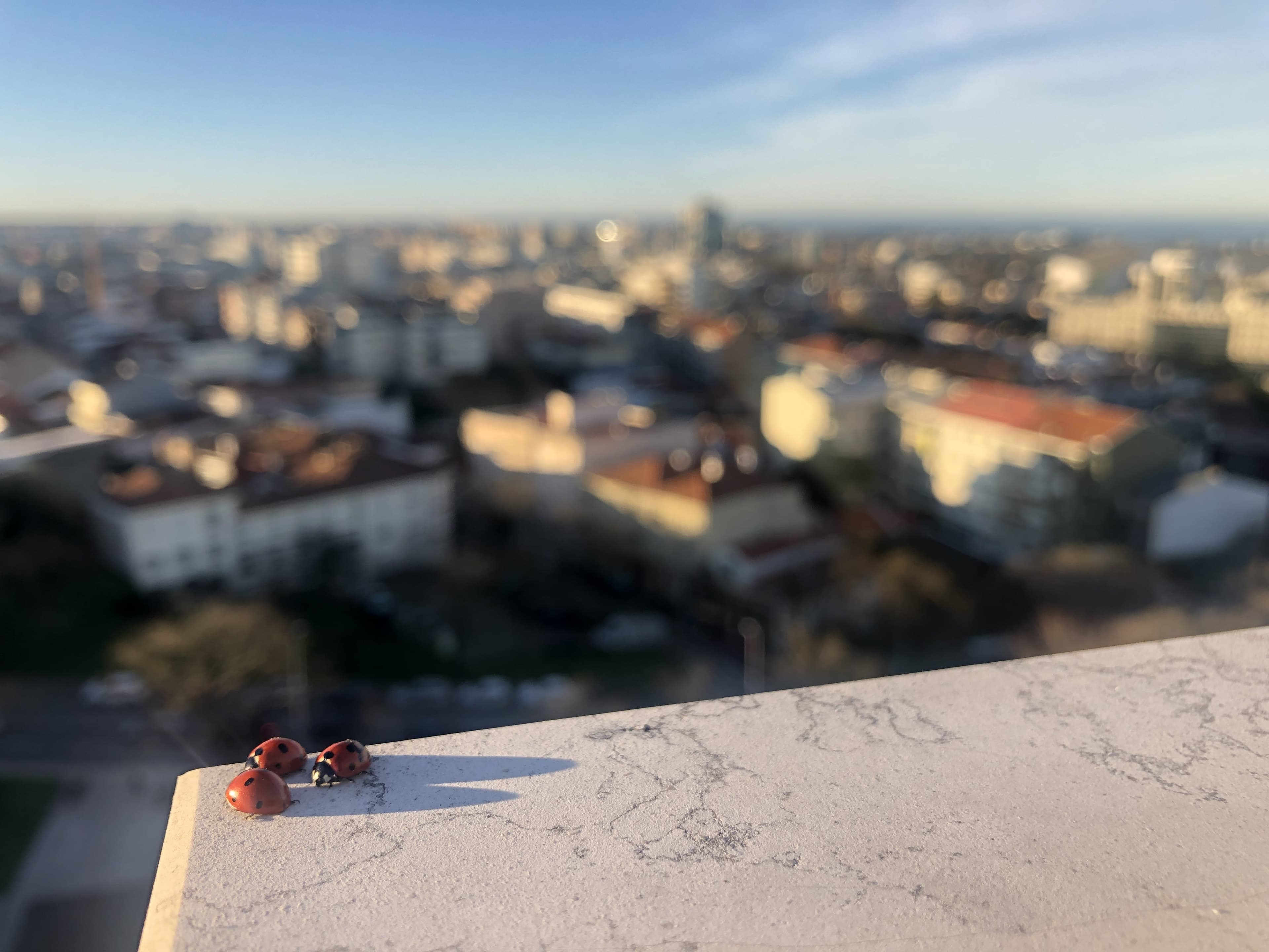 Outdoor terrace in Porto apartment